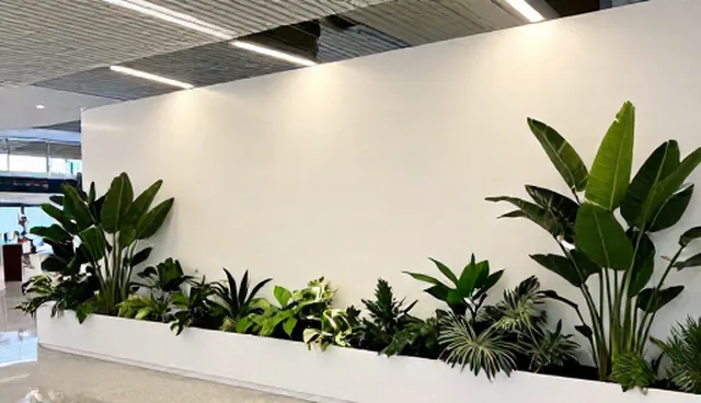 活动策划执行：团队策划能力的关键作用